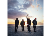 The BONEZ
