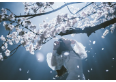 Aimer